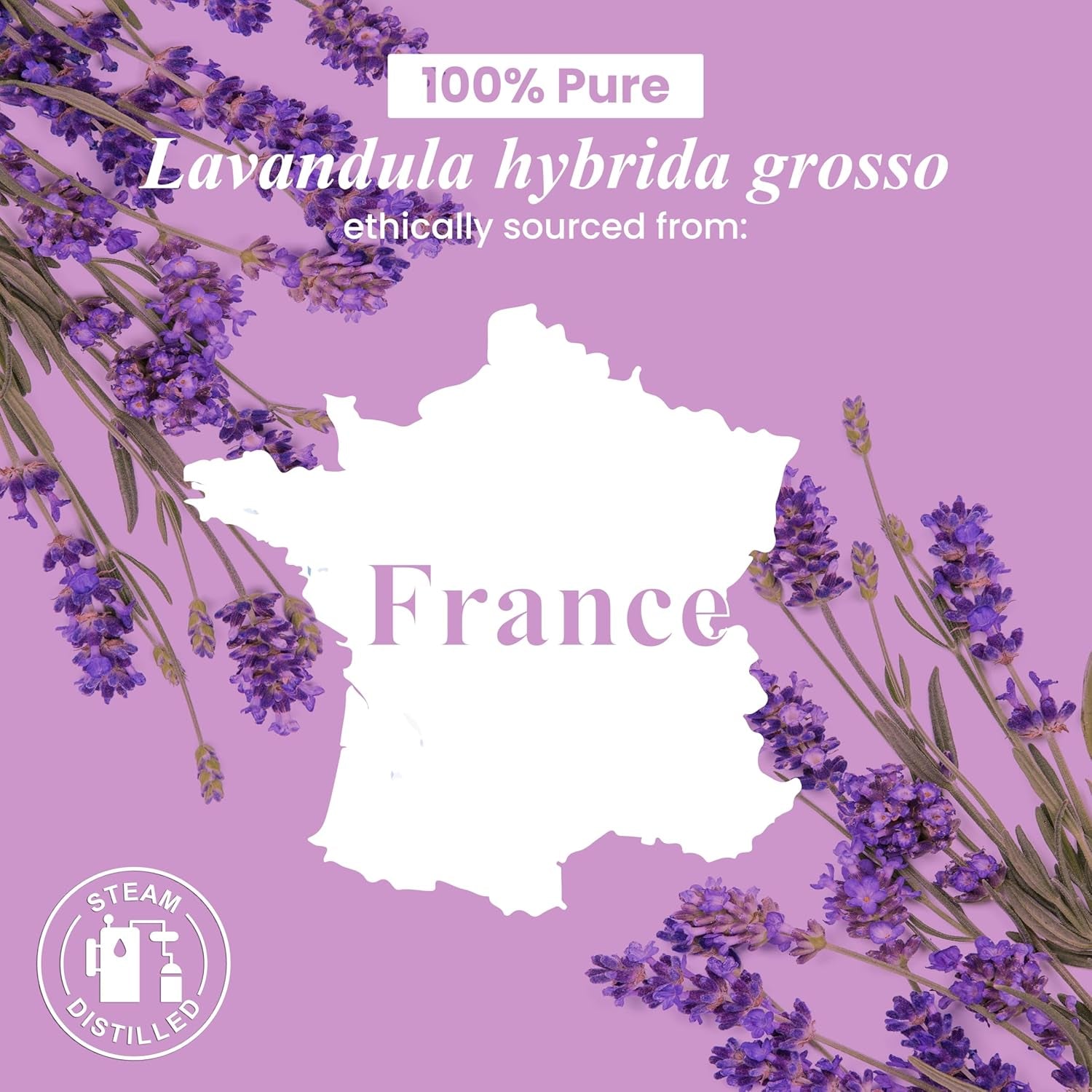 Lavender Essential Oil – Huge 4 Fl Oz – Essential Oil for Diffuser and Aromatherapy, Skin, Massage, Candle and Soap Making Fragrance